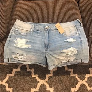 NWT American Shorts Size 16