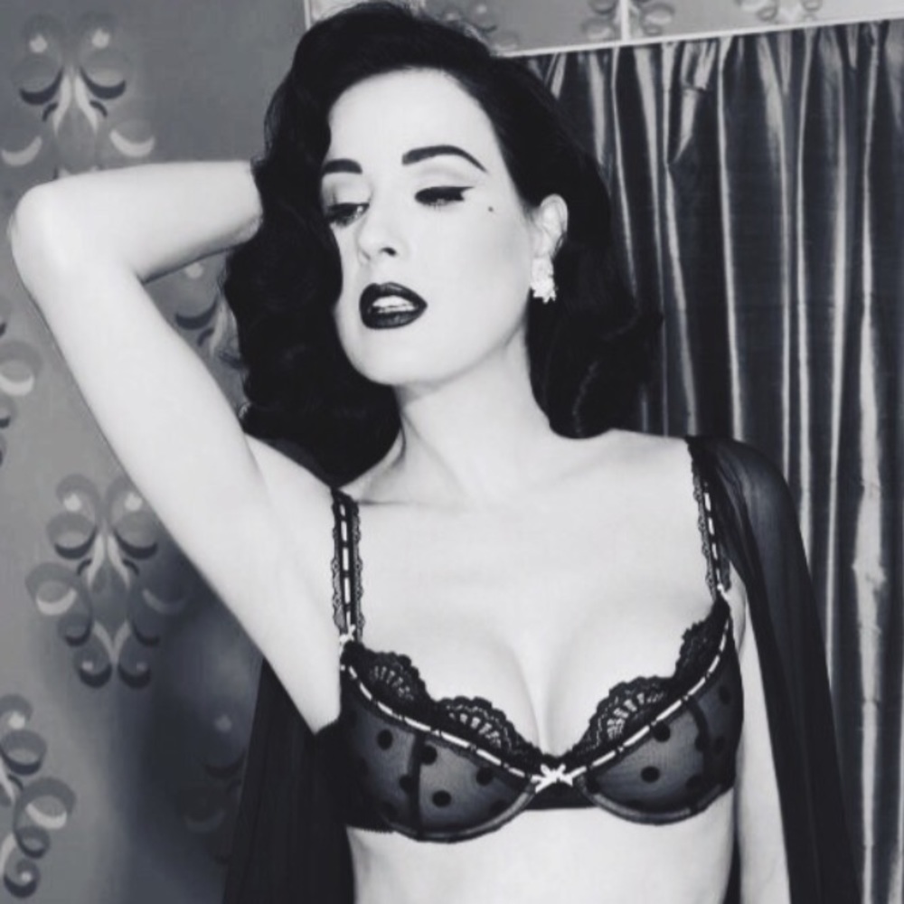 🔥SOLD EBAY🔥 Dita Von Teese Sophia Bra - Picture 1 of 6