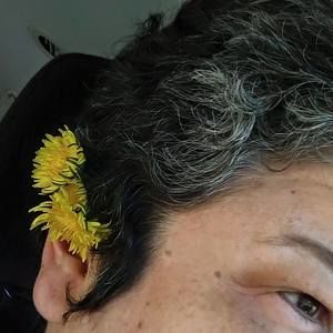 Meet your Posher, Lysa