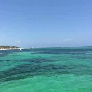 Meet your Posher, Rhonda a.