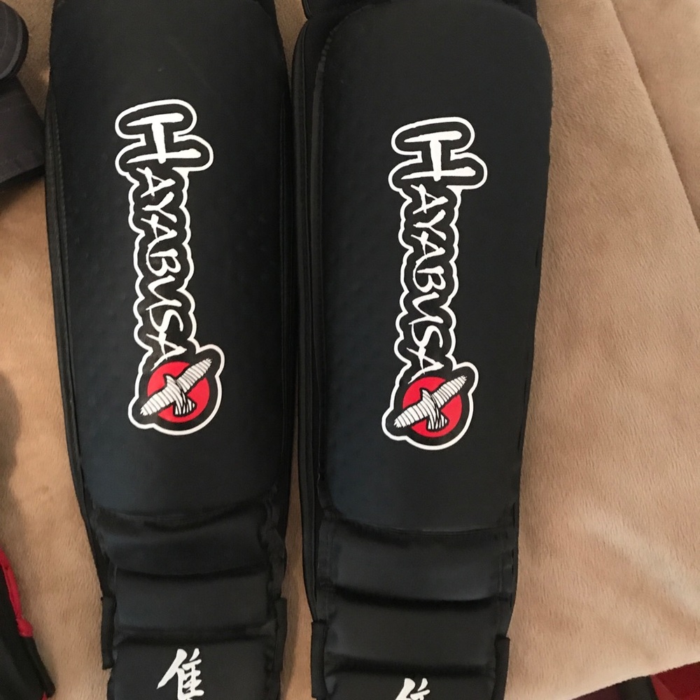 HayaBusa - Picture 3 of 4