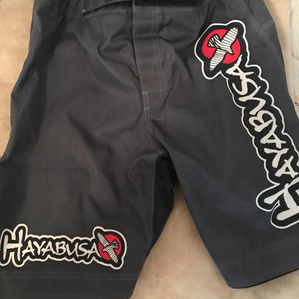 HayaBusa - Picture 4 of 4