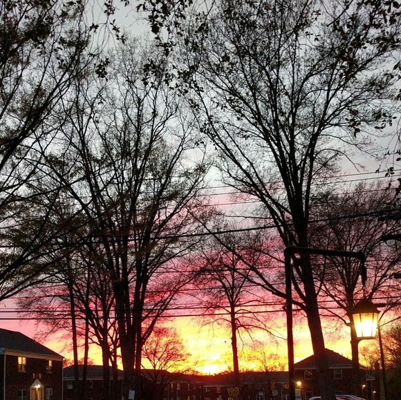 Meet your Posher, Brittany - Picture 1 of 1