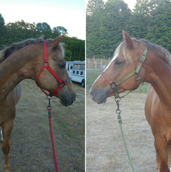 Meet your Posher, P - Picture 4 of 4