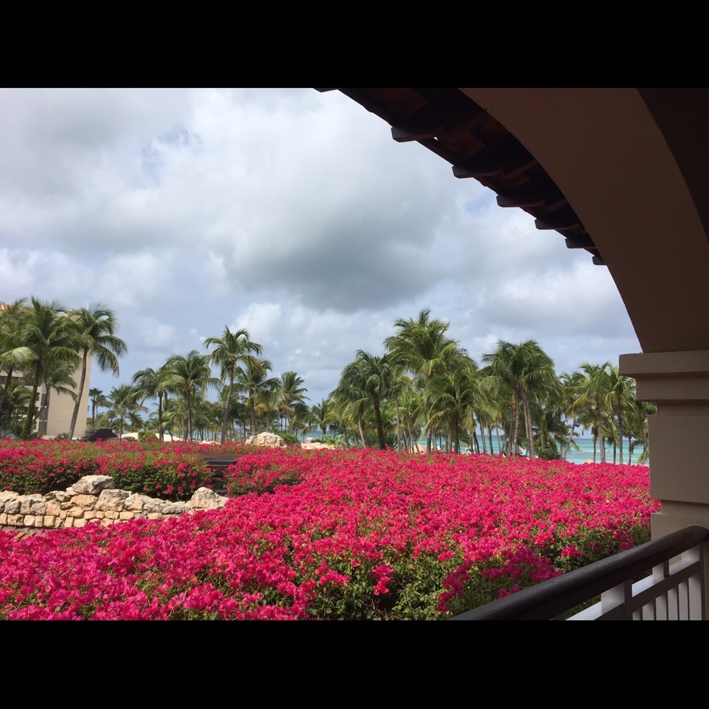 Meet your Posher, Denise