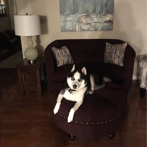 Meet your Posher, Shannon - Picture 2 of 8