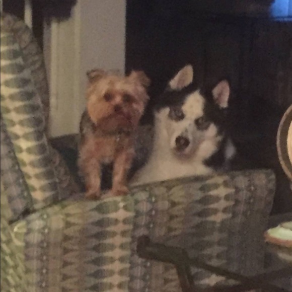 Meet your Posher, Shannon - Picture 5 of 8