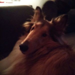 Meet your Posher, Mary