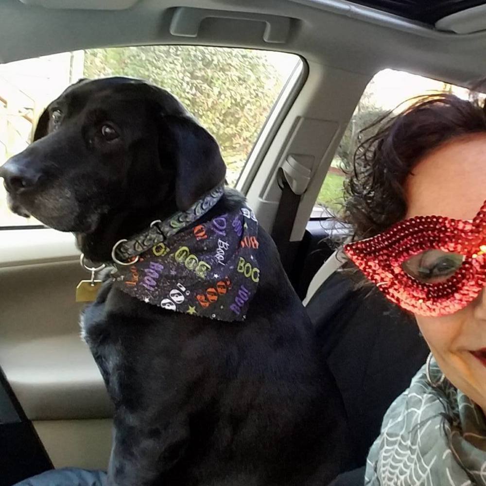 Meet your Posher, Diane