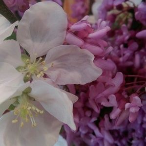 Meet your Posher, Marlisa