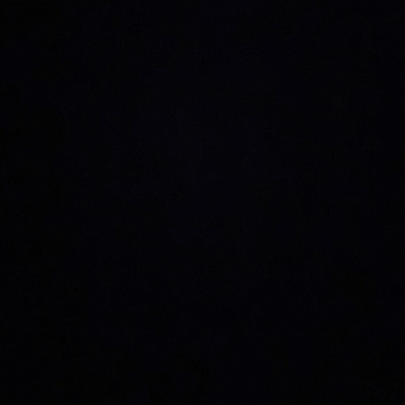 Meet your Posher, Sam - Picture 1 of 1