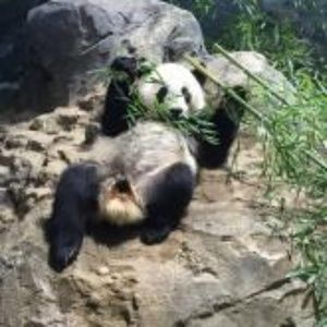 Meet your Posher, Raina