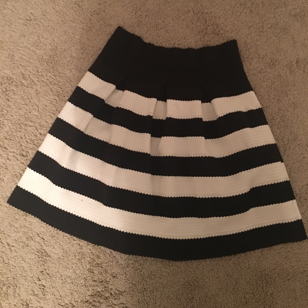 Ann Taylor Skirt