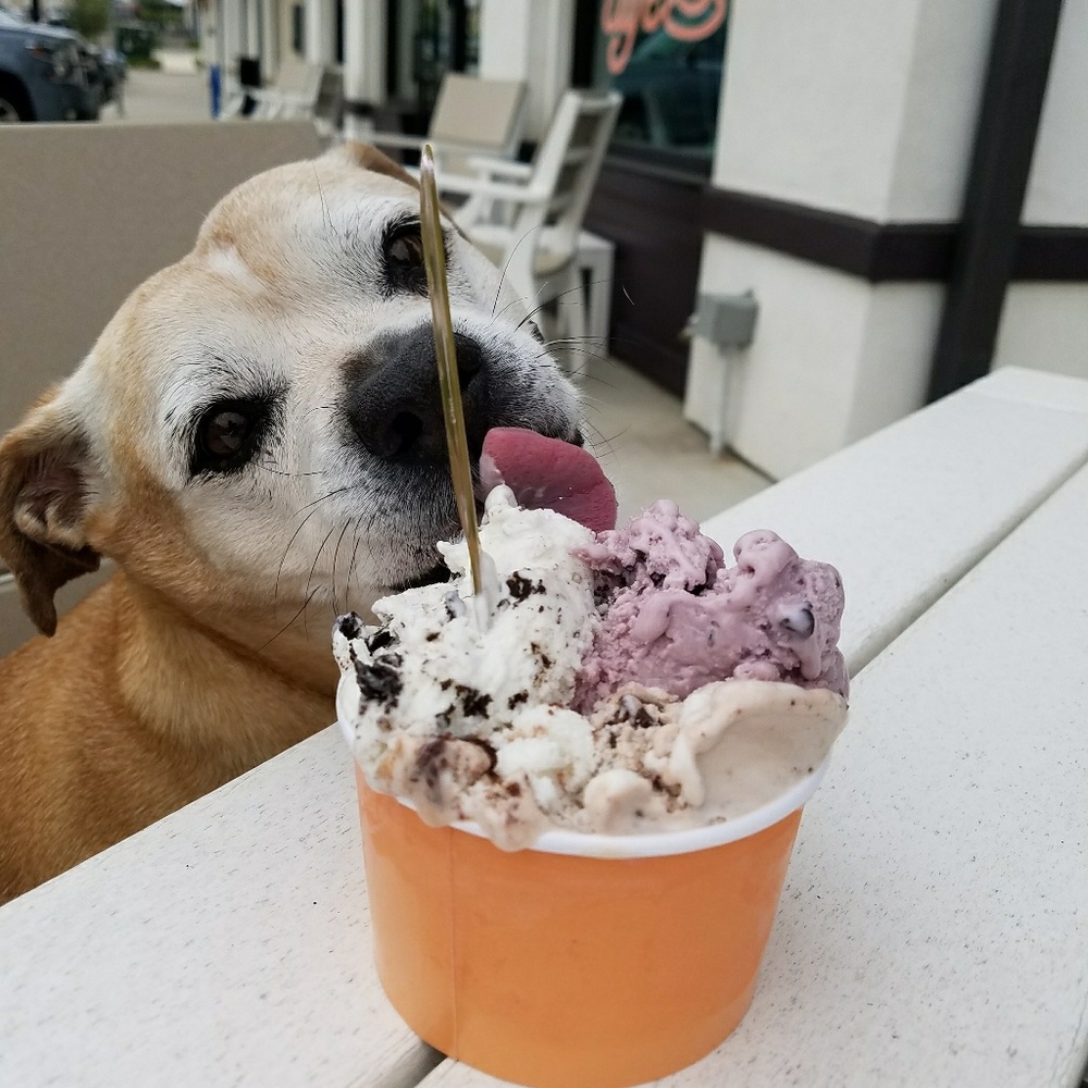 Meet your Posher, Jennifer