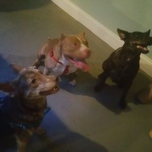 Meet your Posher, Kyleigh