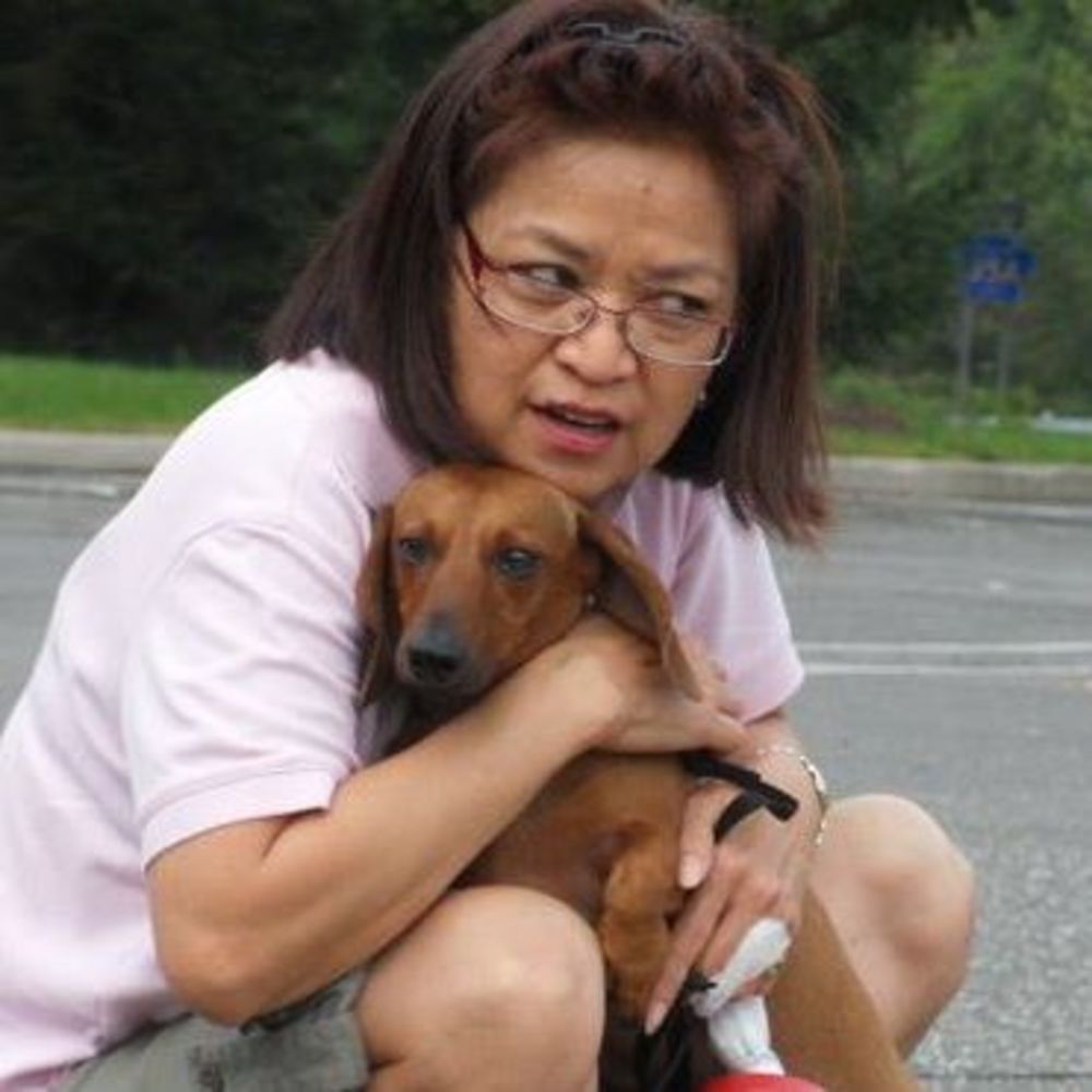 Meet your Posher, Net