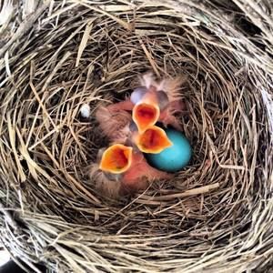 Meet your Posher, Stacey