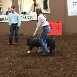 Meet your Posher, Trinity