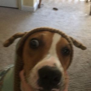 Meet your Posher, Joel