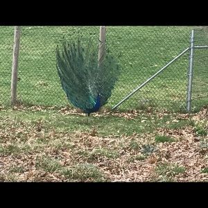 Meet your Posher, Yesica