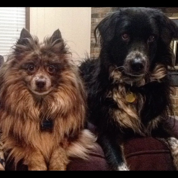 Meet your Posher! - Picture 4 of 4