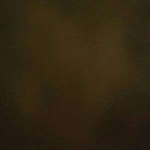 Meet your Posher, Levi