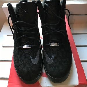 Lebron lifestyle shoes