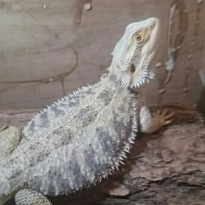 Meet your Posher, Teresa