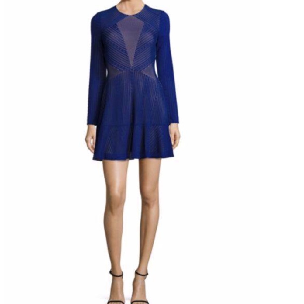 BCBG Maxazria "Daina" Dress