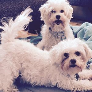 Meet your Posher, Naomi