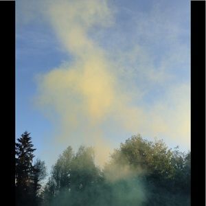 Meet your Posher, Sammy