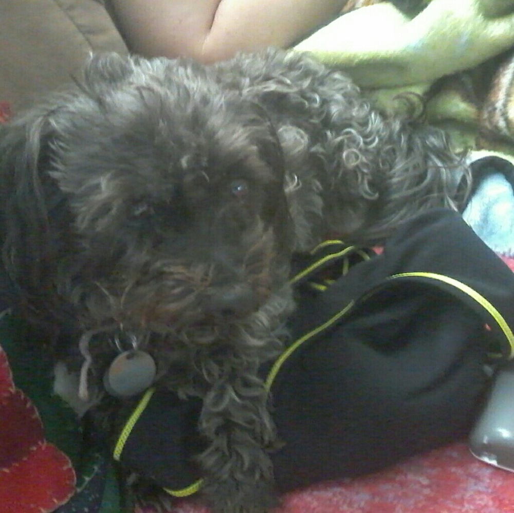 we appreciate all reasonable offers