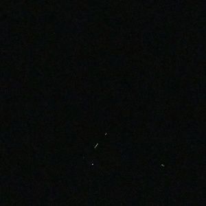 Meet your Posher, Janine