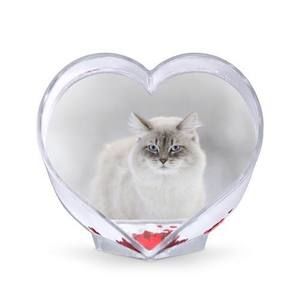 Meet your Posher, Igor