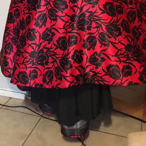 Prom Dress - Picture 4 of 5