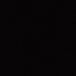 Meet your Posher, Duane