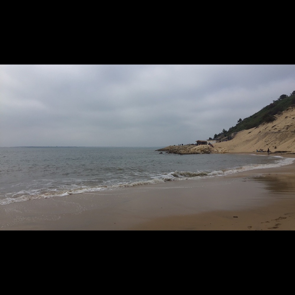 Meet your Posher, Maddy