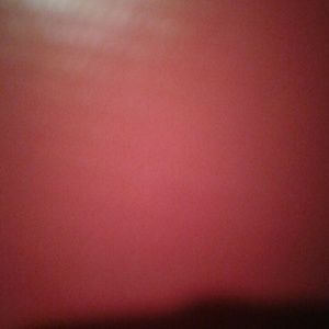 Meet your Posher, Desiree