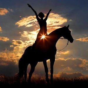 Meet your Posher, Sony