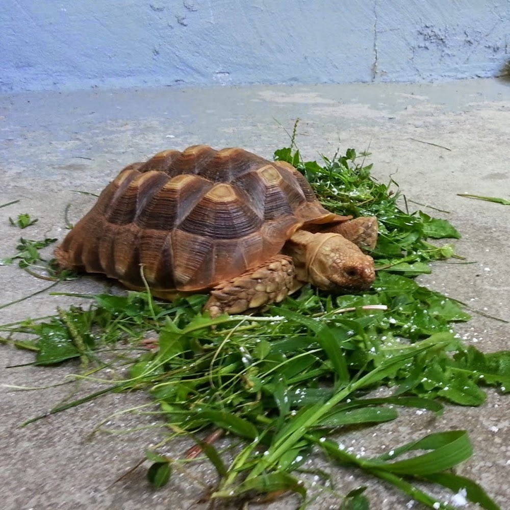 Meet your Posher, Britt