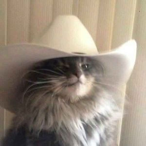 Meet your Posher, Will