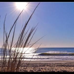 Meet your Posher, Elaine