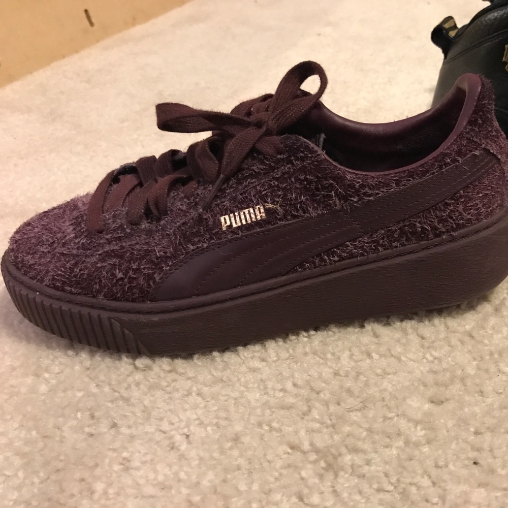 Pumas