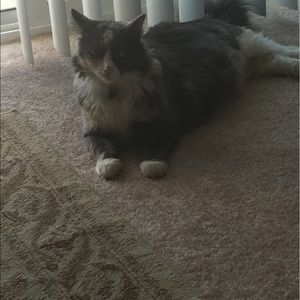 Meet your Posher, Kelly