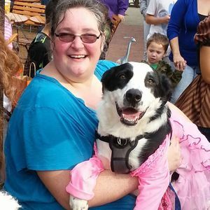 Meet your Posher, Dawn