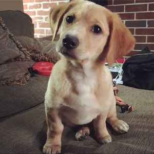 Meet your Posher, Patrick