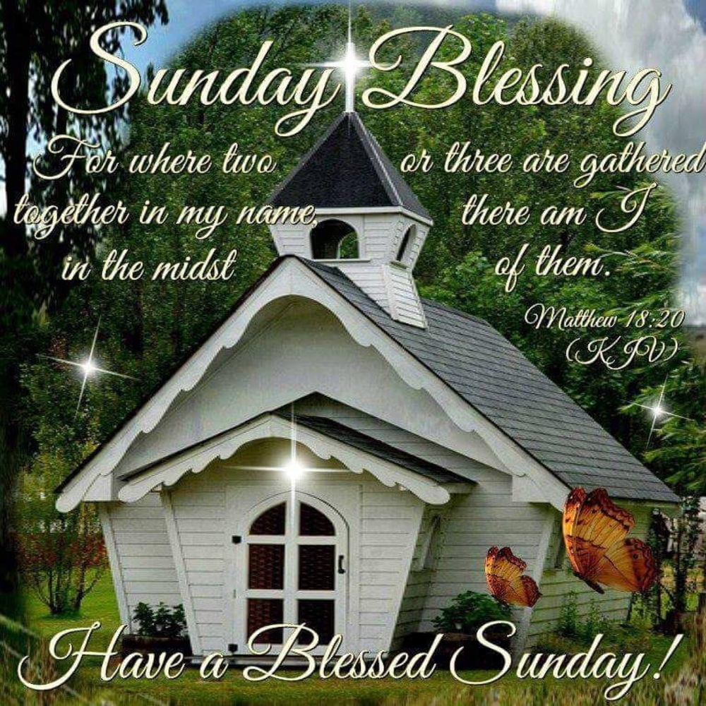 Meet your Posher, Fabiola