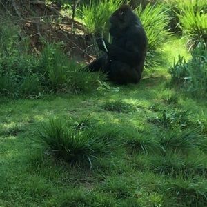 Meet your Posher, Austin