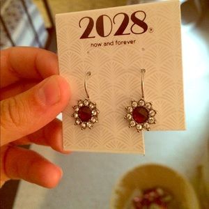 Elegant earrings ✨