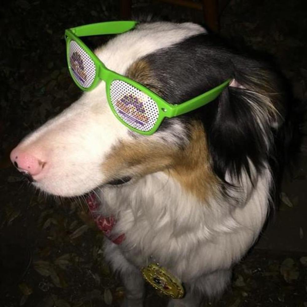 Meet your Posher, Shane